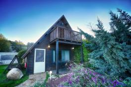 הפנינה בחזון